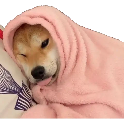 12.2 Cansado Dormido --