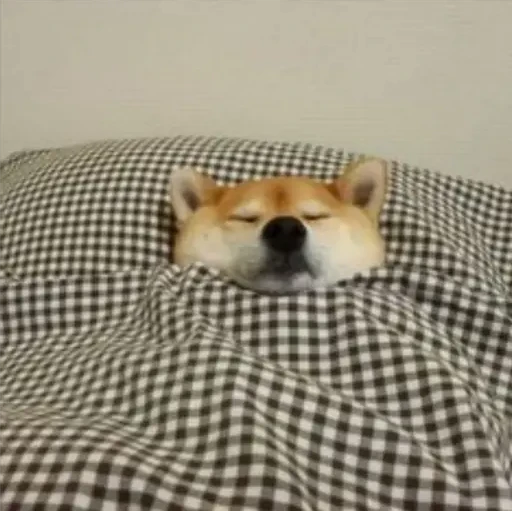 12.2 Cansado Dormido --