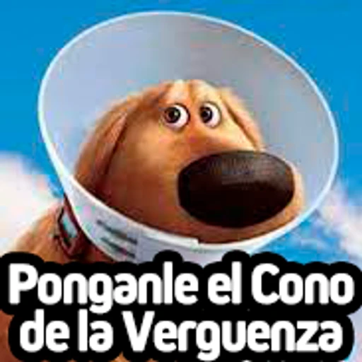 1.27 desepcionado Verguenza hipocrita #