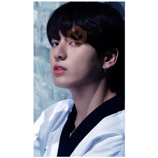 JungKook BTS sticker 23