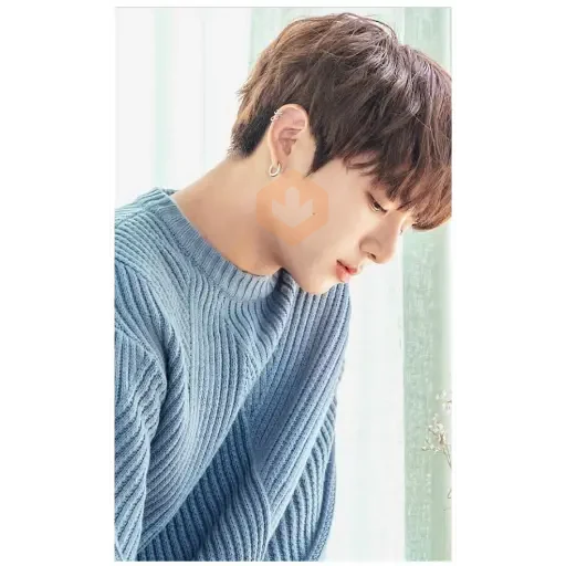 JungKook BTS sticker 12