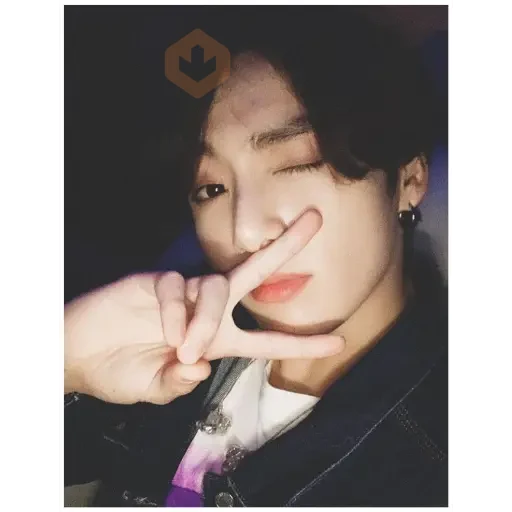 JungKook BTS sticker 14