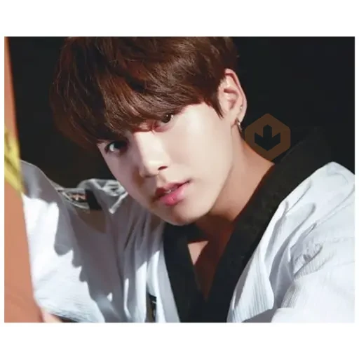 JungKook BTS sticker 19