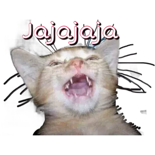 4.11 Risa JAJAJA # preview