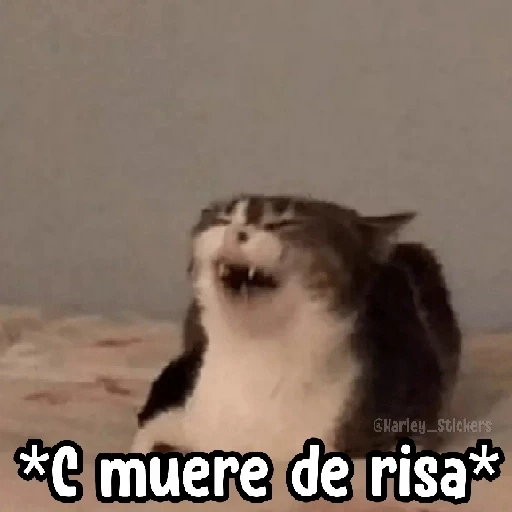 4.11 Risa JAJAJA #