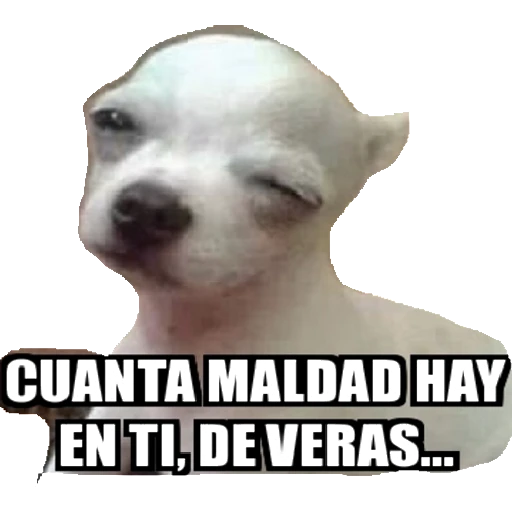 4.12 Risa Malvada #