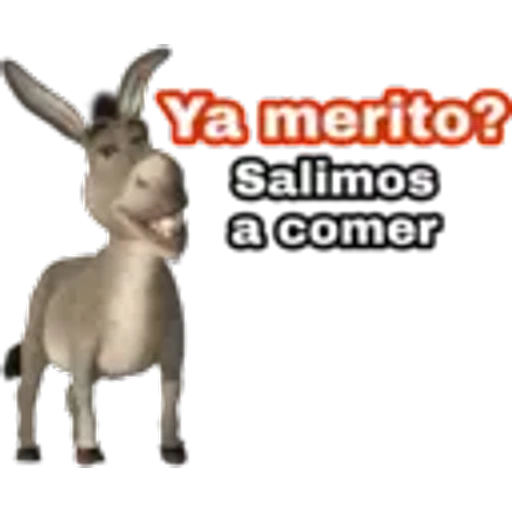 4.15 Comida #