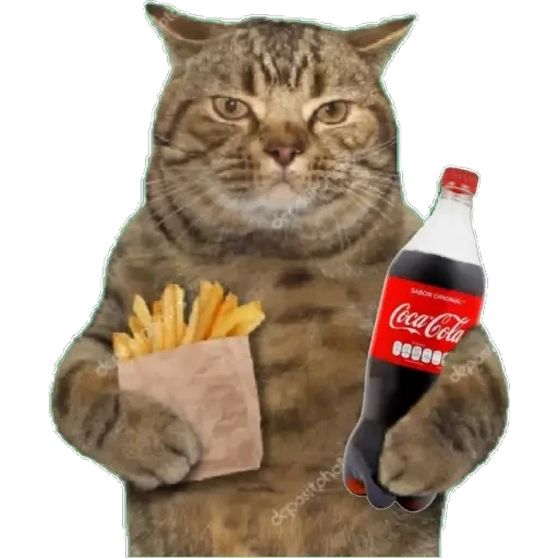 4.16 Comida 2