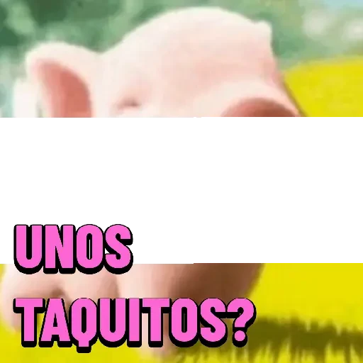 4.19 Comida Mex #
