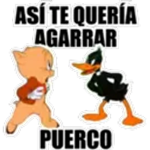 4.20 Comida Pig ## preview