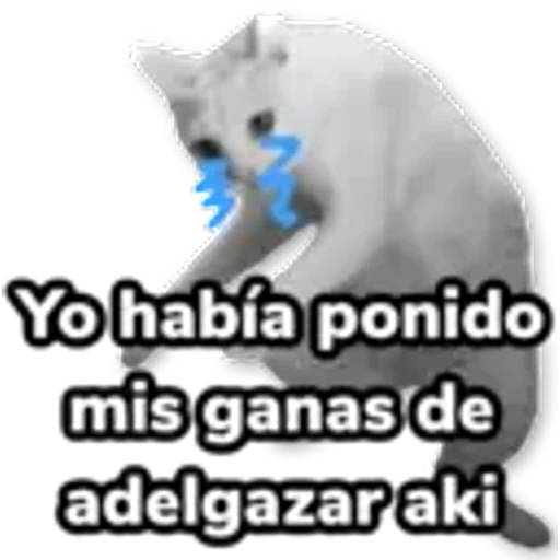 4.20 Comida Pig ##