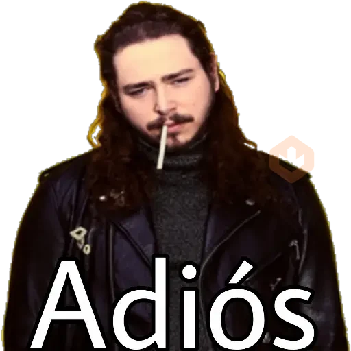Post Malone sticker 24