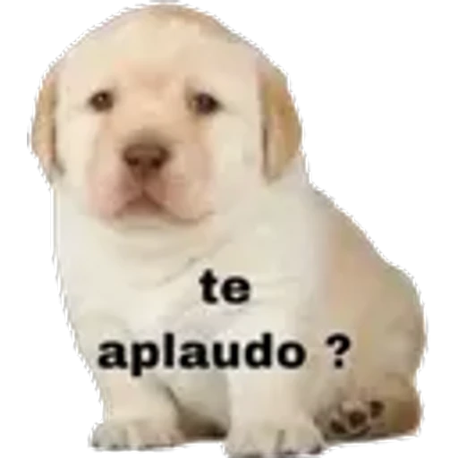 5.12 Serio