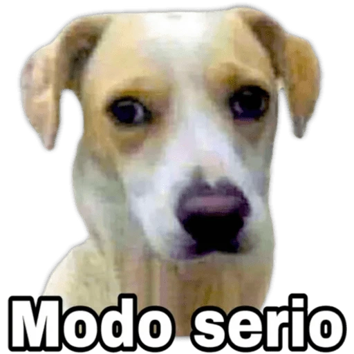5.12 Serio