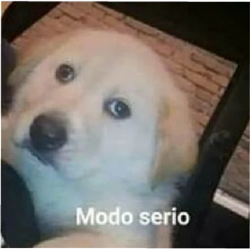 5.12 Serio