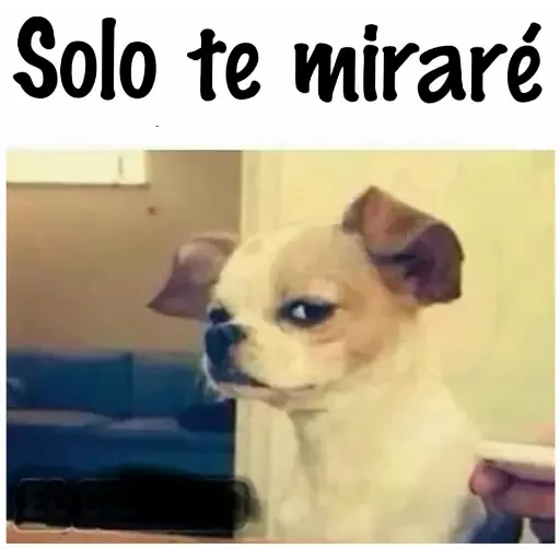 5.12 Serio