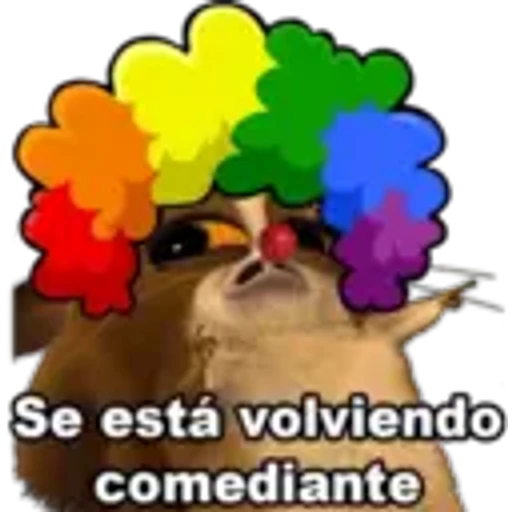 5.16 Payaso quede