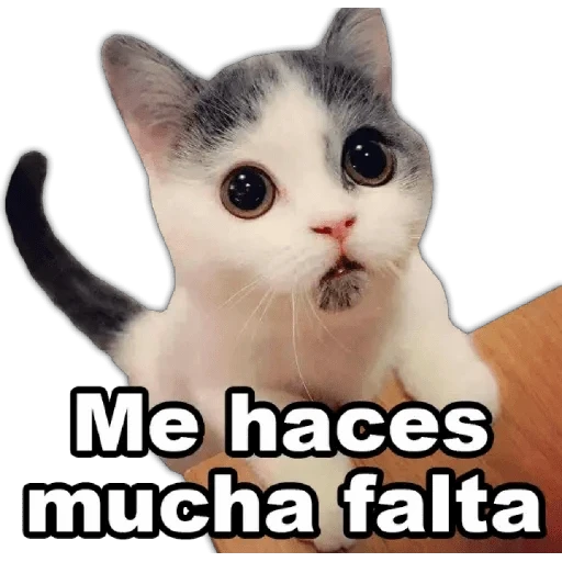 7.13 Extraño ##