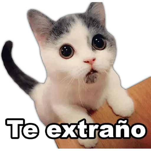 7.13 Extraño ##