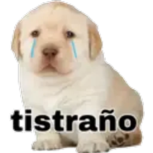 7.13 Extraño ##