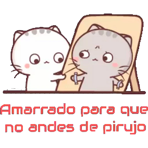 7.29 Celos Mio #