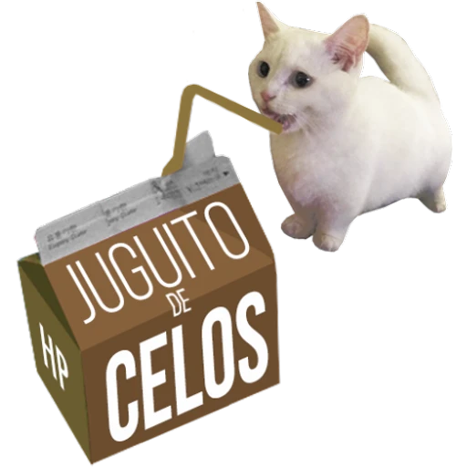7.29 Celos Mio #