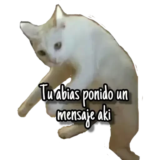 9.14 STICKERS Borrar varios ##