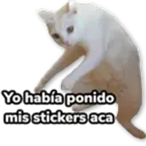 9.14 STICKERS Borrar varios ##