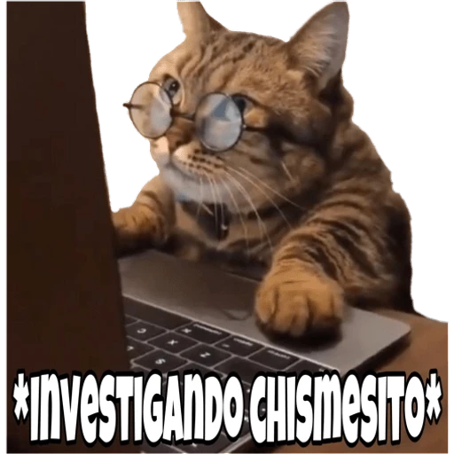10.11 Chisme ##