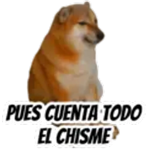10.12 Chisme Palomitas ##