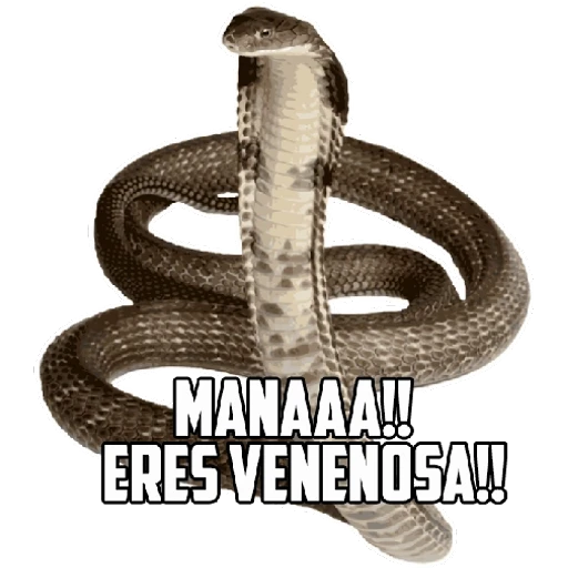 10.13 Chisme Vivora Juzgar --