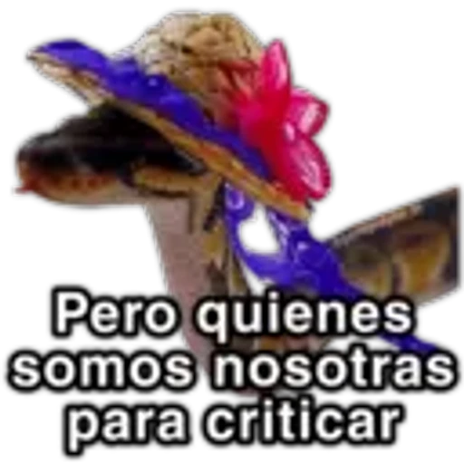 10.13 Chisme Vivora Juzgar --
