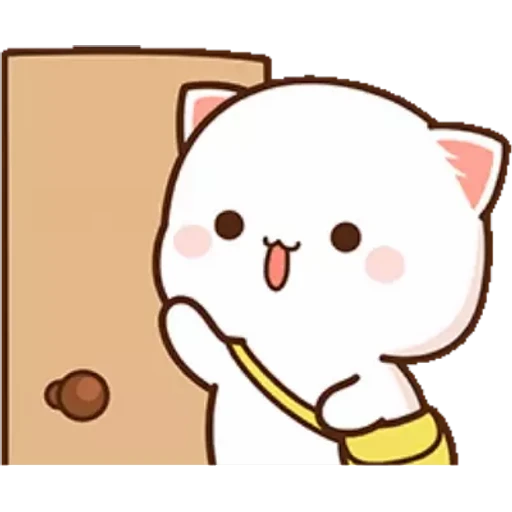 12.1.1 Hola cari ##