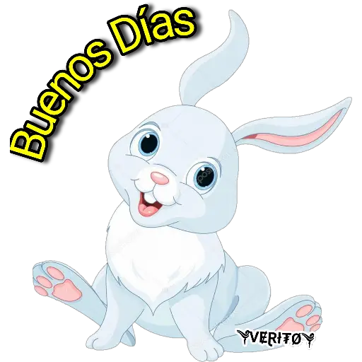 💎 Rabbits💎 