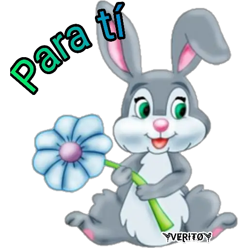 💎 Rabbits💎 