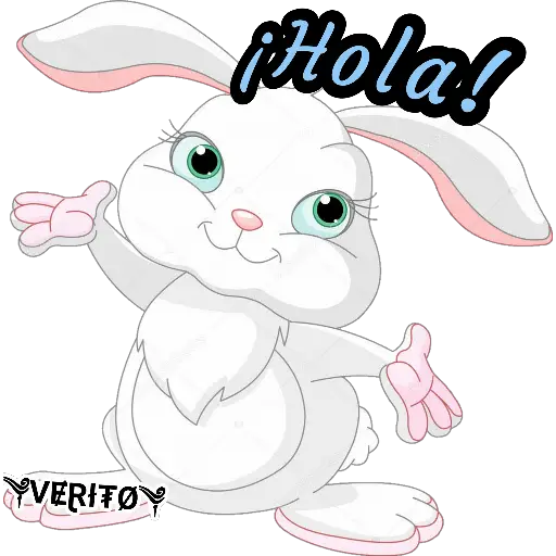 💎 Rabbits💎 