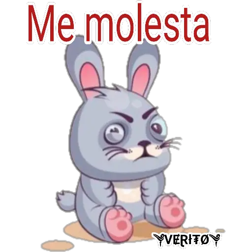 💎 Rabbits💎 