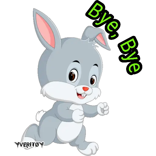 💎 Rabbits💎 