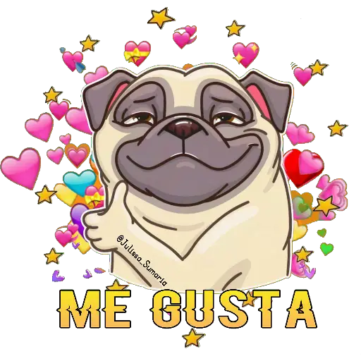 ✨Pug Power✨ 