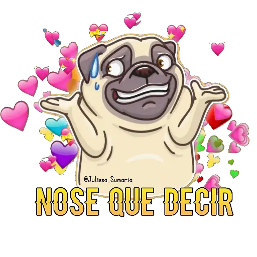 ✨Pug Power✨ 