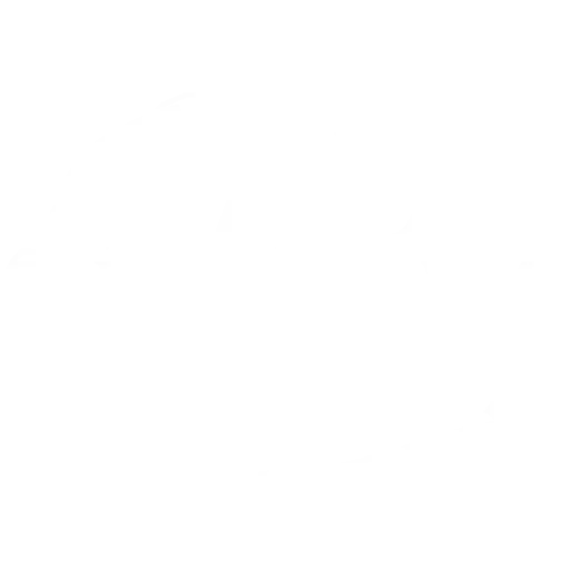 bad bunny