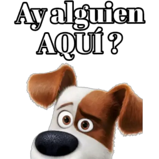 ADMINISTRADOR PACK #1 
