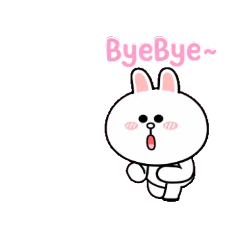BROWN & FRIENDS x HyperRabbit : 5