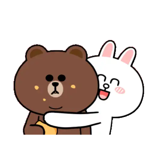 BROWN & FRIENDS x HyperRabbit : 5