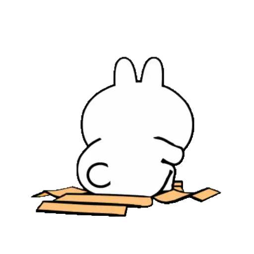 BROWN & FRIENDS x HyperRabbit : 5
