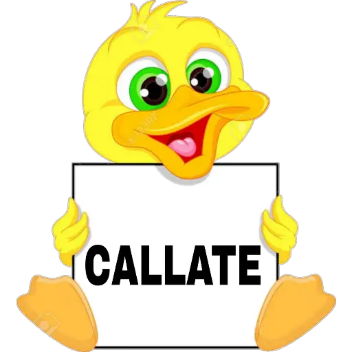 DUCKSING 