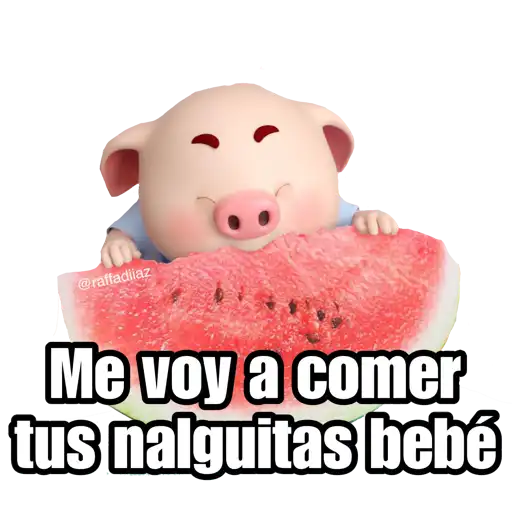 Cerditos 1
