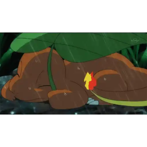 Charmander # 3