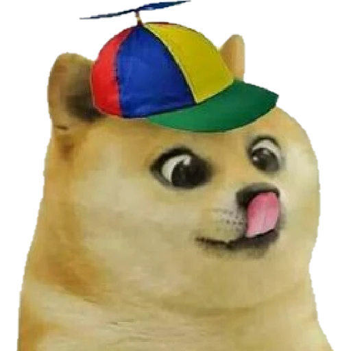 Cheems