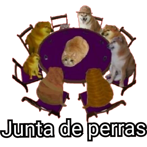 Cheems